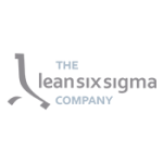 the lean six sigma company